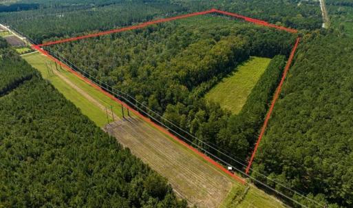 Photo #2 of TBD Highway 701 South, Georgetown, SC 58.0 acres