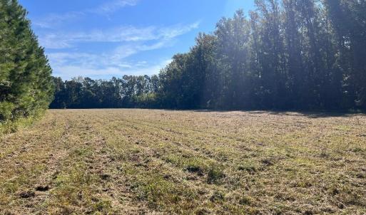 Photo #5 of TBD Highway 701 South, Georgetown, SC 58.0 acres