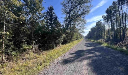 Photo #6 of TBD Highway 701 South, Georgetown, SC 58.0 acres
