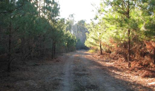 View of dirt / gravel road featuring a forest view