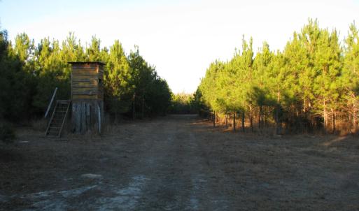 View of dirt / gravel road with a rural view
