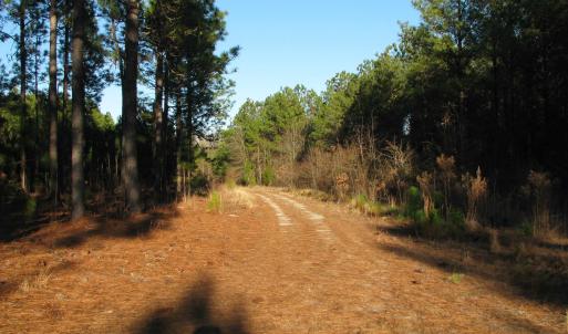 View of dirt / gravel road
