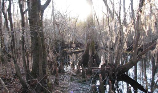 View of undeveloped land