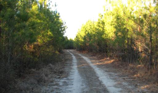 View of street