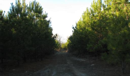 View of road