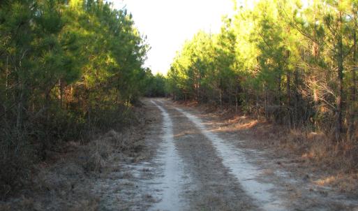 View of street