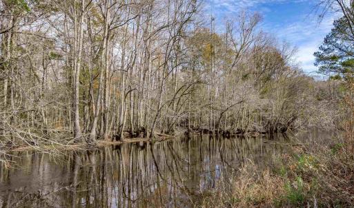 Water view featuring a forest
