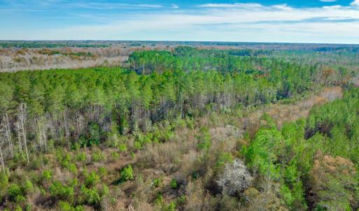 Drone / aerial view of a heavily wooded area