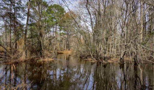 Water view with a heavily wooded area