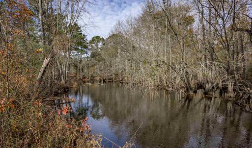 Water view with a heavily wooded area