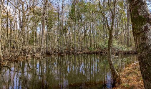 Water view featuring a heavily wooded area