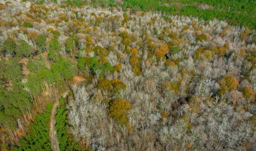 Aerial view of property and surrounding area with