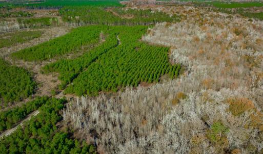 Aerial view of property and surrounding area