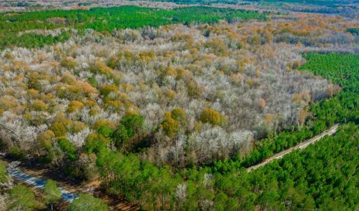 View of property location with a heavily wooded ar