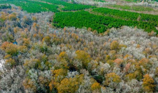 Aerial view of property and surrounding area