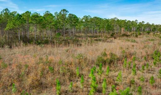 View of undeveloped land