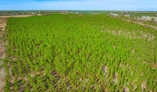 Overview of rural landscape featuring abundant far