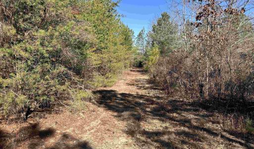 View of dirt / gravel road