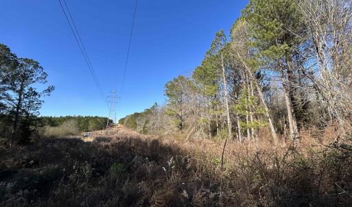 View of undeveloped land