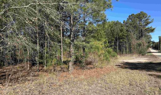 Photo #1 of 1433 Clyde School Rd., Mcbee, SC 32.5 acres