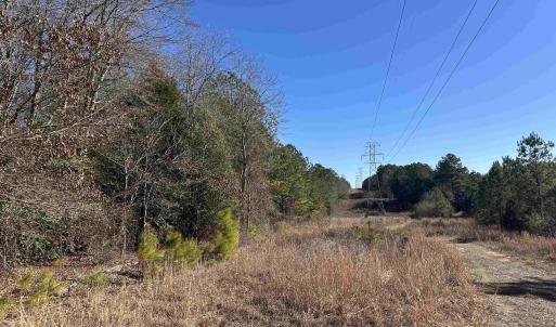 View of local wilderness