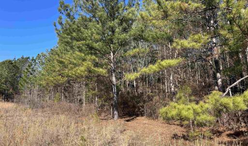 View of undeveloped land