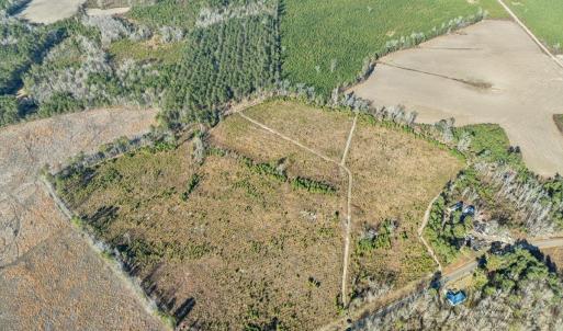 Aerial view of property's location featuring rows