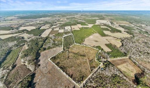 Aerial view of property's location with rows of cr