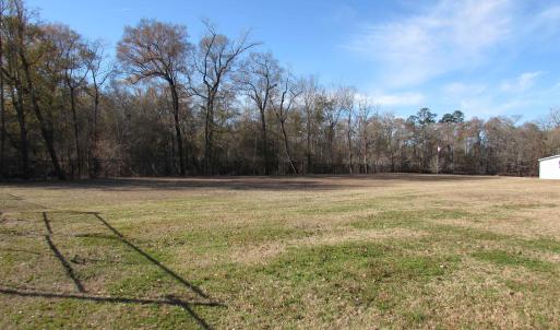View from inside the fence and towards the river