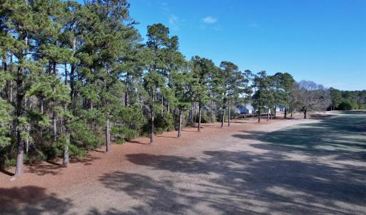 Photo #2 of 10 Lots - Dragooon Ct., Georgetown, SC 2.8 acres