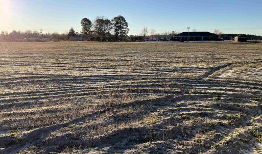 View of yard featuring a view of rural / pastoral