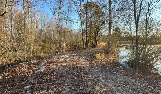 Photo #14 of TBD Senator Gasque Hwy., Mullins, SC 16.2 acres