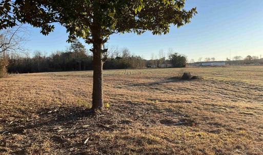 View of yard featuring a view of rural / pastoral