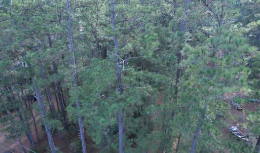 Photo #5 of TBD Georgetown Hwy., Andrews, SC 1.5 acres