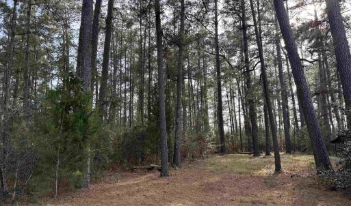 Photo #11 of TBD Georgetown Hwy., Andrews, SC 1.5 acres