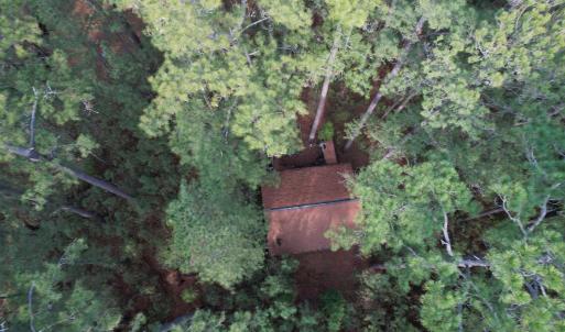 Photo #6 of TBD Georgetown Hwy., Andrews, SC 1.5 acres