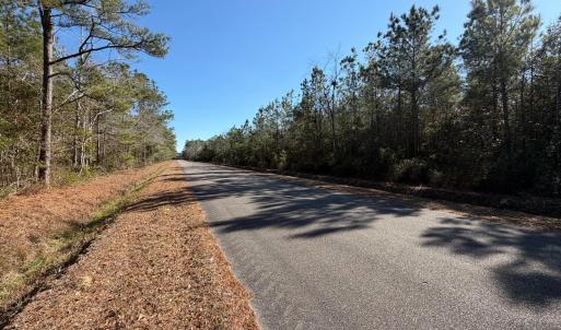 View of asphalt street with a forest view