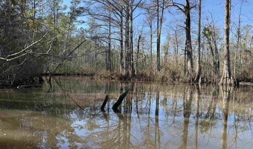 Photo #5 of 31.40 Acres-TBD Pennyroyal Rd., Georgetown, SC 31.4 acres