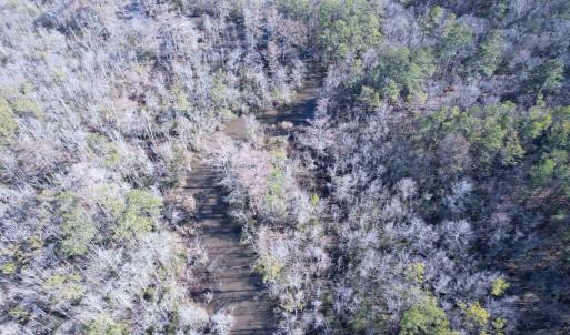 Photo #15 of 31.40 Acres-TBD Pennyroyal Rd., Georgetown, SC 31.4 acres