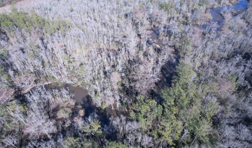 Photo #17 of 31.40 Acres-TBD Pennyroyal Rd., Georgetown, SC 31.4 acres