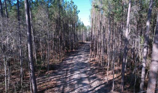 Photo #9 of 31.40 Acres-TBD Pennyroyal Rd., Georgetown, SC 31.4 acres