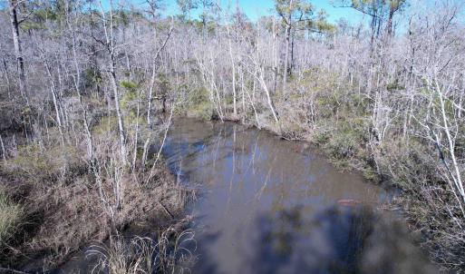 Photo #18 of 31.40 Acres-TBD Pennyroyal Rd., Georgetown, SC 31.4 acres