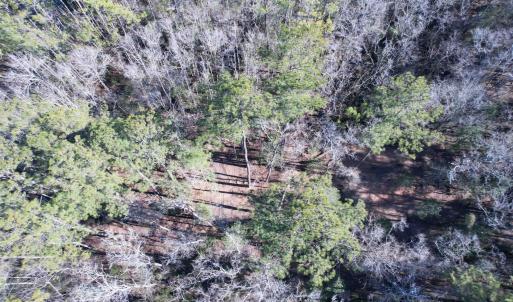 Photo #16 of 31.40 Acres-TBD Pennyroyal Rd., Georgetown, SC 31.4 acres