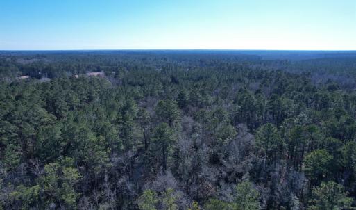 Photo #19 of 31.40 Acres-TBD Pennyroyal Rd., Georgetown, SC 31.4 acres