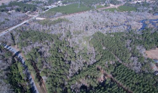 Photo #13 of 31.40 Acres-TBD Pennyroyal Rd., Georgetown, SC 31.4 acres