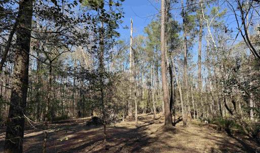 Photo #25 of 31.40 Acres-TBD Pennyroyal Rd., Georgetown, SC 31.4 acres