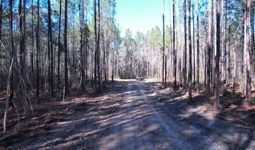 Photo #26 of 31.40 Acres-TBD Pennyroyal Rd., Georgetown, SC 31.4 acres