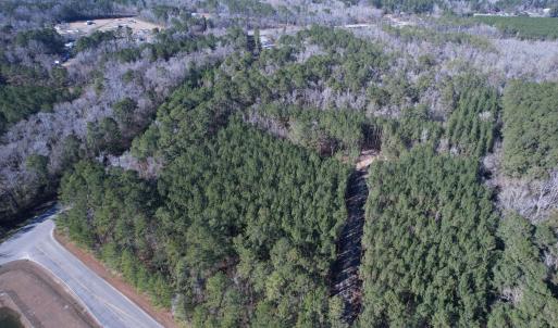 Photo #11 of 31.40 Acres-TBD Pennyroyal Rd., Georgetown, SC 31.4 acres