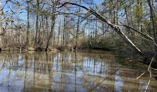 Photo #7 of 31.40 Acres-TBD Pennyroyal Rd., Georgetown, SC 31.4 acres