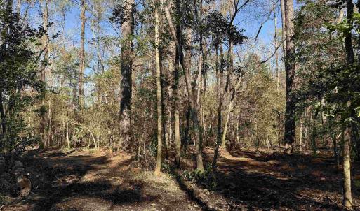Photo #6 of 31.40 Acres-TBD Pennyroyal Rd., Georgetown, SC 31.4 acres